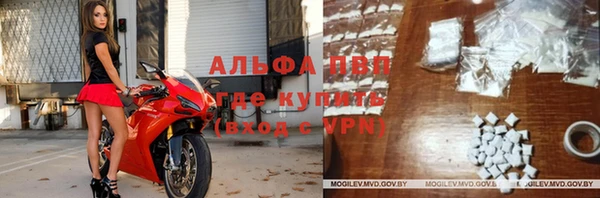 амф Аркадак